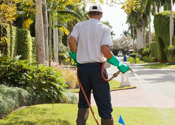 About Cabot VT Pest Control